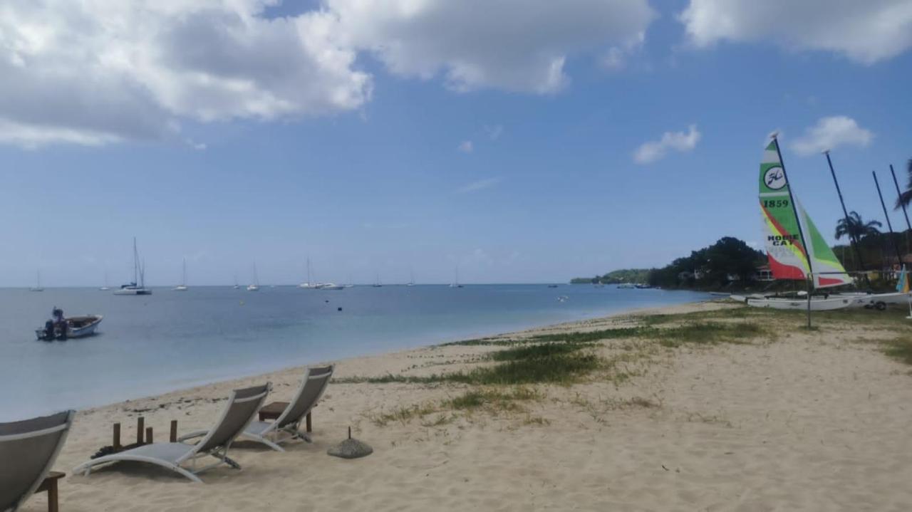 לה מול Studio Cosy Les Pieds Dans L'Eau A L'Autre Bord מראה חיצוני תמונה